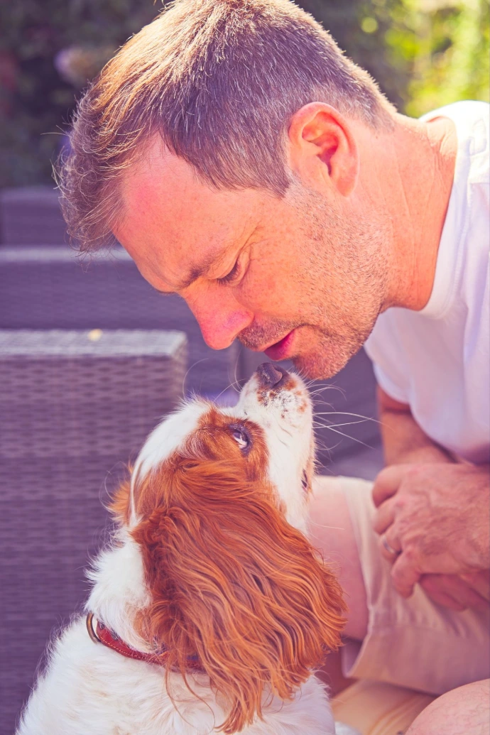 Man affectionately touching noses with Cavalier King Charles Spaniel