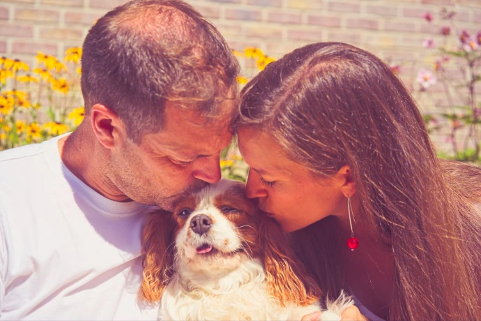 Couple kissing while holding small Cavalier King Charles Spaniel